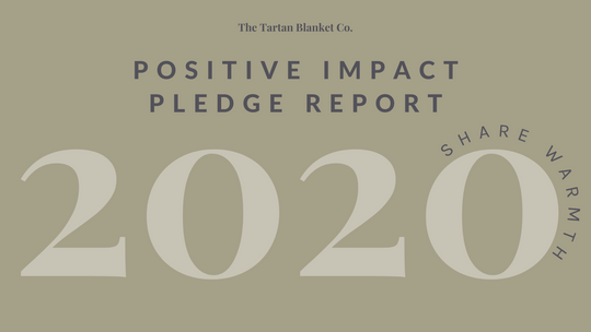 Rapport d'impact positif 2020 