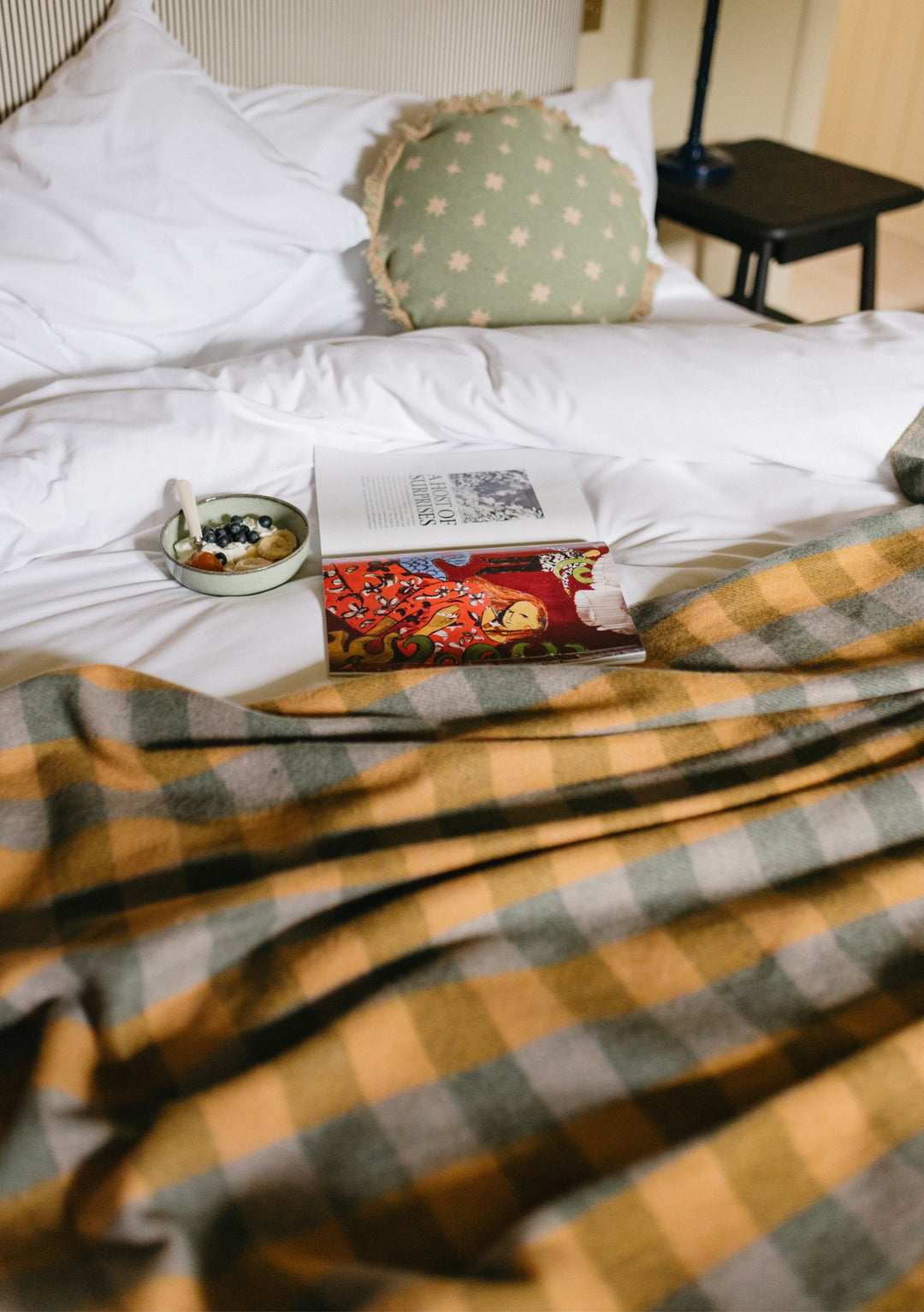 Recycled Wool Blanket in Sage Gingham