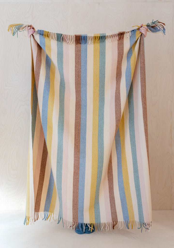 Sample Sale Recycled Wool Blanket in Rainbow Stripe