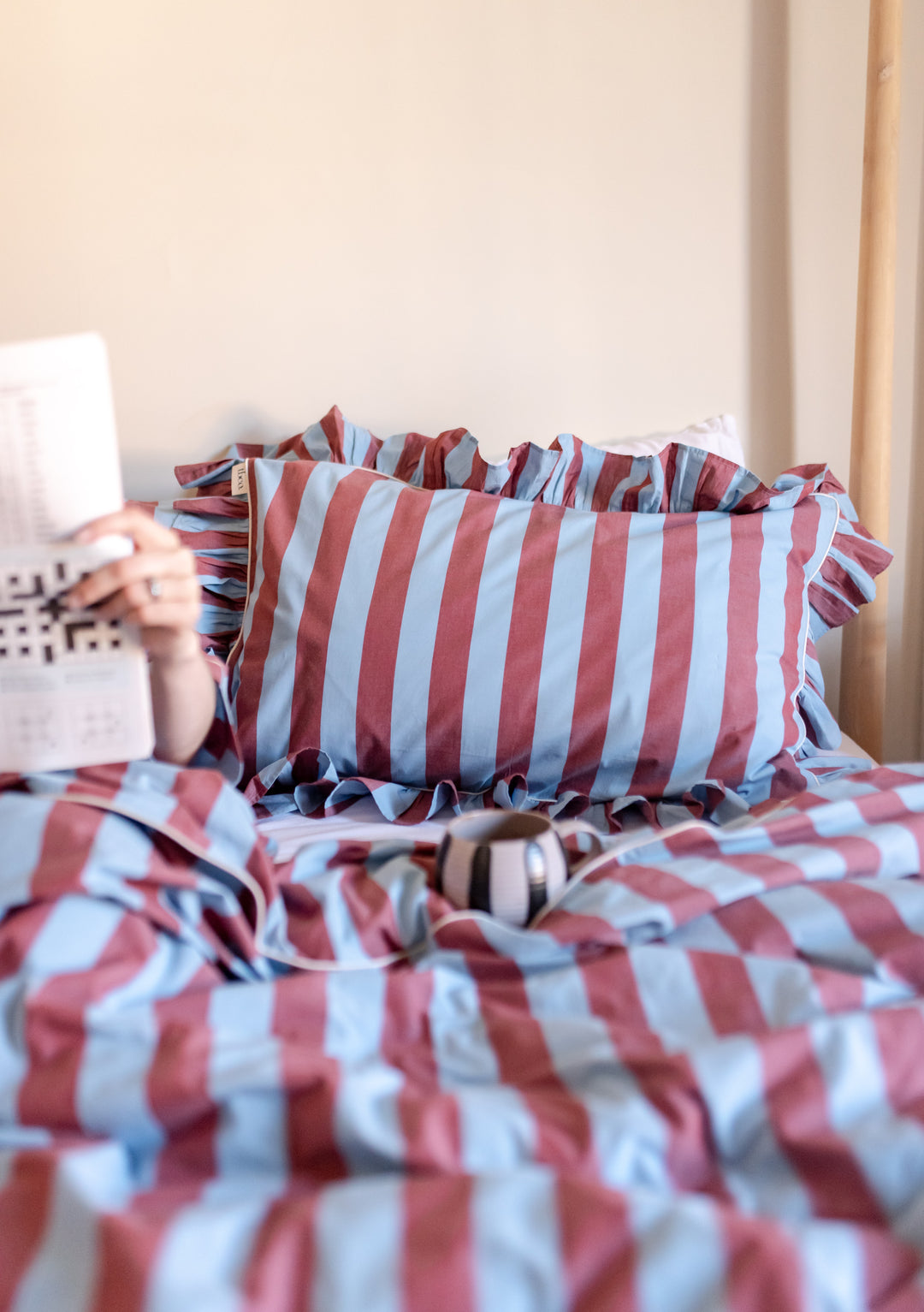 Pair of Cotton Pillowcases in Blue & Red Stripe