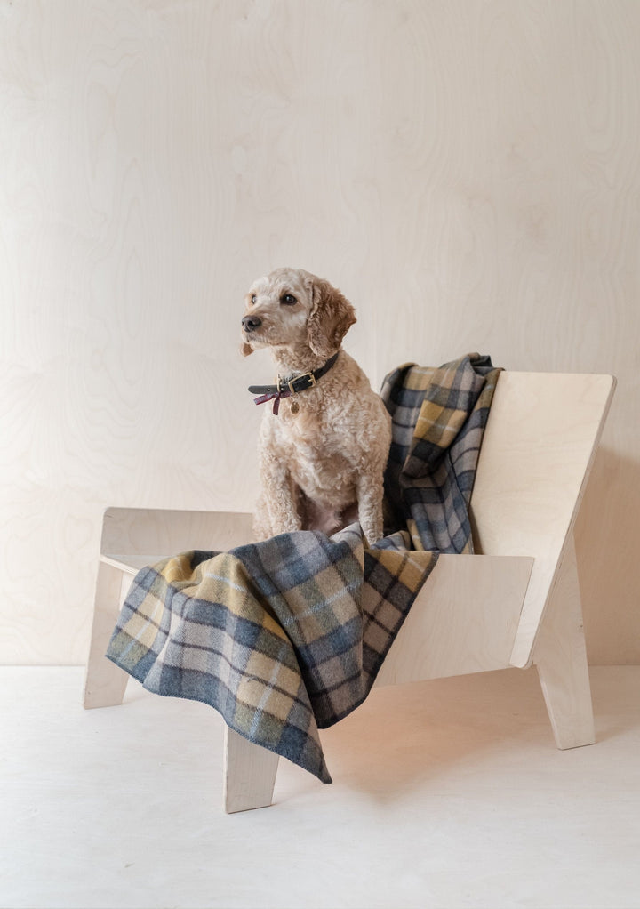 Recycled Wool Large Pet Blanket in Buchanan Natural Tartan