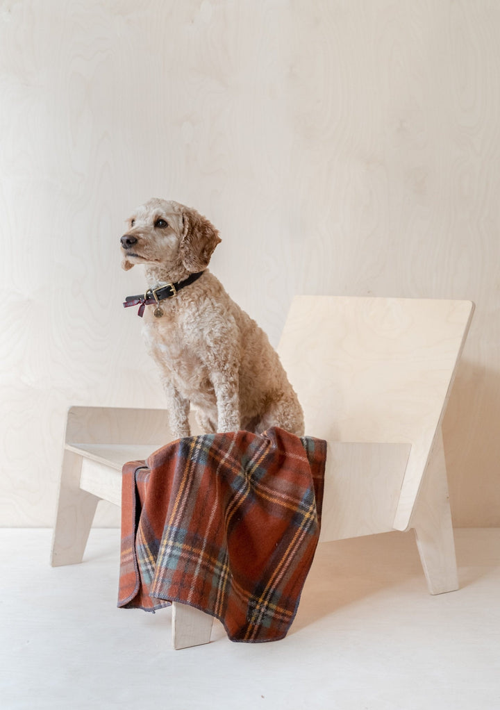 Petite couverture pour animaux de compagnie en laine recyclée en tartan antique Stewart Royal